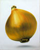 Thomas Jocher onion