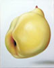Thomas Jocher pear