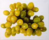 Thomas Jocher grapes