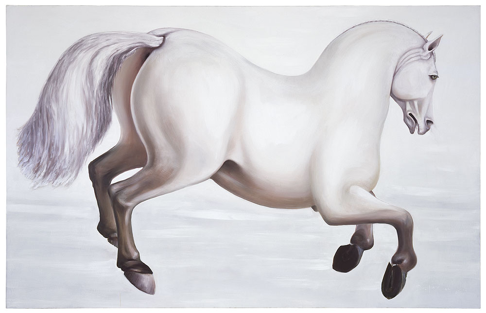Thomas Jocher White Horse On White Background